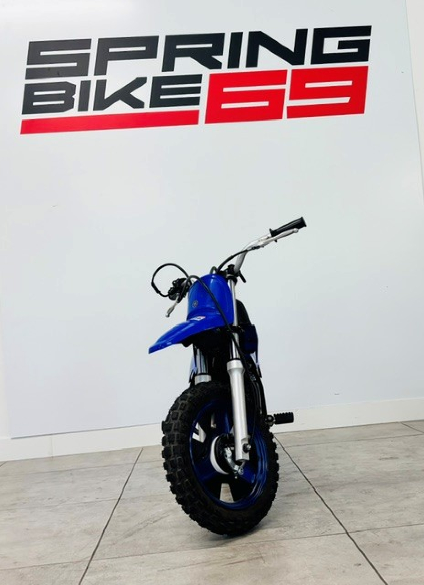 YAMAHA PW50